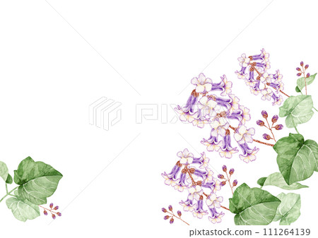 Paulownia flower background frame watercolor illustration 111264139