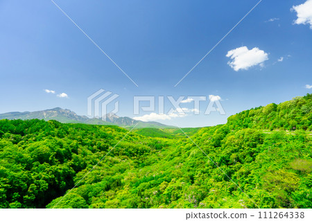 Kiyosato Kogen 111264338