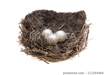 bird nest isolated bird nest isolated 111264468