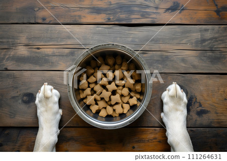 AI-generated content. Pet food concept - dry food in a bowl 111264631