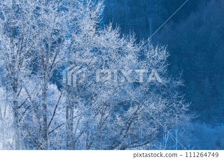 壯觀的冬季景色－美麗的白霜 111264749