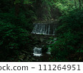 A waterfall surrounded by dark magical greenery 111264951