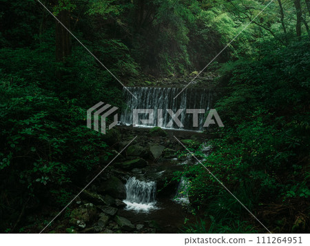 A waterfall surrounded by dark magical greenery 111264951
