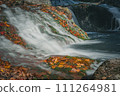Autumn leaves and Oshidori Hidden Falls (Chino City, Nagano Prefecture) Autumn leaves and Oshidori Hidden Falls (Chino City, Nagano Prefecture) 111264981