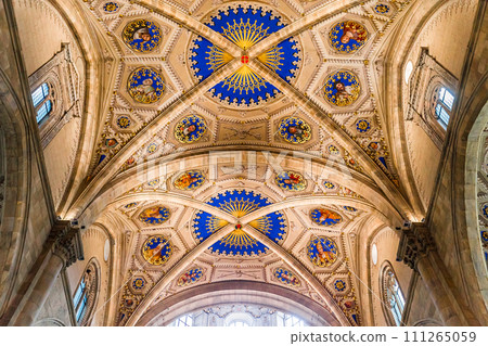 church of the duomo, Como, italy church of the duomo, Como, italy 111265059
