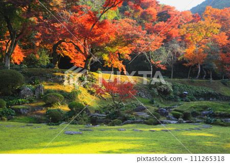 秋天的清水寺本坊庭園（福岡縣瀨高町） 111265318