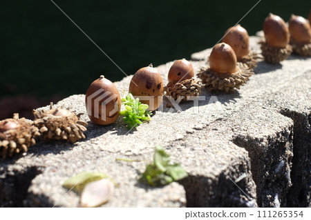 Acorn smile Acorn smile 111265354