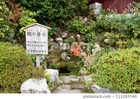 京都市大原的敖幌清水 111265540