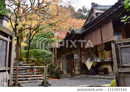 寂光院入場接待與京都市大原參道上的紅葉 寂光院入場接待與京都市大原參道上的紅葉 111265542