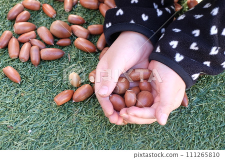 Acorn children's hands Acorn children's hands 111265810