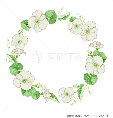 Yugao frame watercolor illustration 111265910