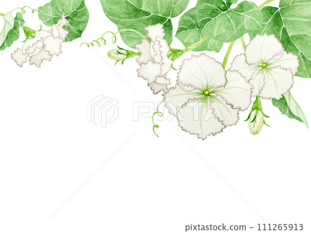 Yugao background frame watercolor illustration 111265913