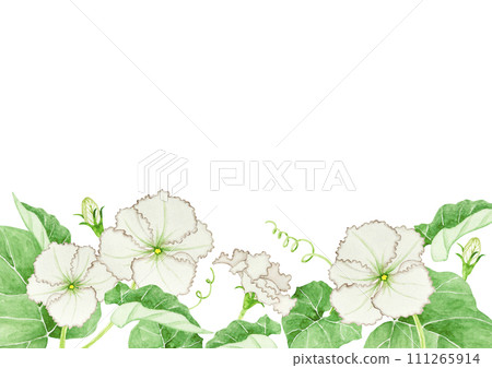 Yugao background frame watercolor illustration 111265914