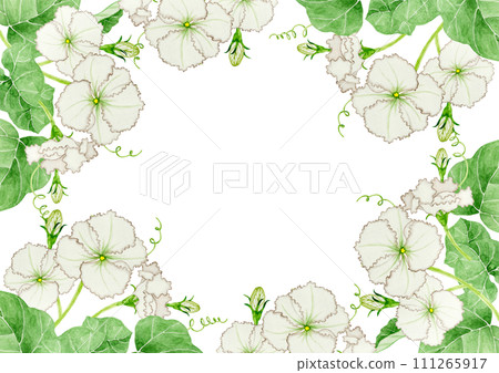 Yugao background frame watercolor illustration 111265917