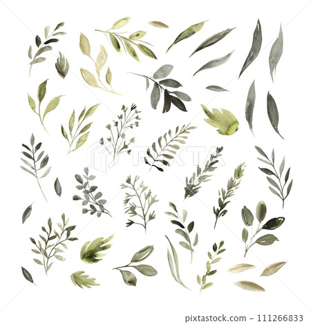 Watercolor botanical set of green plants and branches. Hand drawn illustration of botanical template for greeting cards or wedding invitations, mother's day, birthday, march 8, posters, logos. 111266833