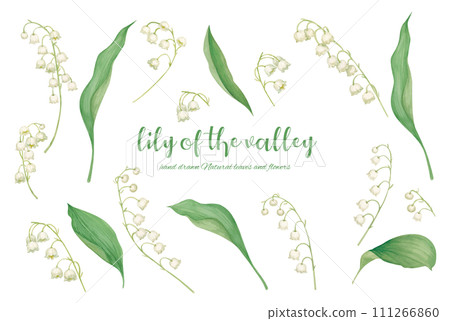 A hand-drawn illustration of a stylish bell orchid in gentle spring colors A hand-drawn illustration of a stylish bell orchid in gentle spring colors 111266860