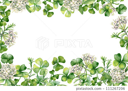Boarder with shamrock and spring flowers watercolor illustration isolated on white. Painted clover and herbal white flowers. Irish symbol hand drawn. Design for St.Patricks day, herbal plant package 111267206