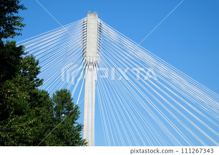View of Port Mann going across Fraser River during a sunny winter day. Taken in Surrey, Vancouver, British Columbia, Canada. 111267343