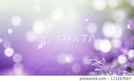 A close-up of lavender flowers with a blurred background. The flowers have a purple hue and are surrounded by greenery 111267607