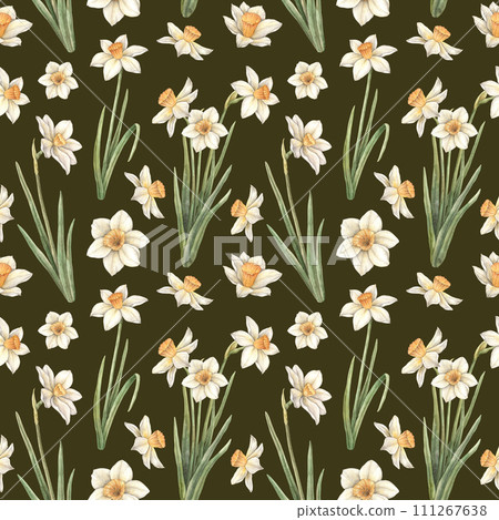 Watercolor pattern on a dark background with yellow beautiful daffodils. Easter holiday illustration hand drawn. Sketch on isolated background for greeting cards, invitations, happy holidays, posters. Watercolor pattern on a dark background with yellow beautiful daffodils. Easter holiday illustration hand drawn. Sketch on isolated background for greeting cards, invitations, happy holidays, posters. 111267638