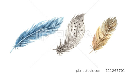 Set of watercolor realistic feathers. Detailed bird feathers in a realistic style. Illustration hand drawn on isolated background for greeting cards, invitations, happy holidays, posters. Set of watercolor realistic feathers. Detailed bird feathers in a realistic style. Illustration hand drawn on isolated background for greeting cards, invitations, happy holidays, posters. 111267701