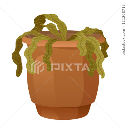 Withered wilted plant in pot. Foliage houseplant with dead dry leaves, sick ill leaf. Damaged dying spathiphyllum, faded flowers with disease. Flat vector illustration isolated on white background 111268712