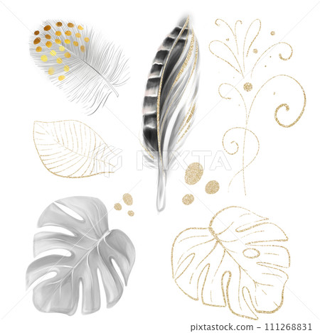 Watercolour Pheasant Feather, plume. Soft and downy feather of bird. monstera golden leaf For creating wedding design, cards, invitations, scrapbooking Watercolour Pheasant Feather, plume. Soft and downy feather of bird. monstera golden leaf For creating wedding design, cards, invitations, scrapbooking 111268831