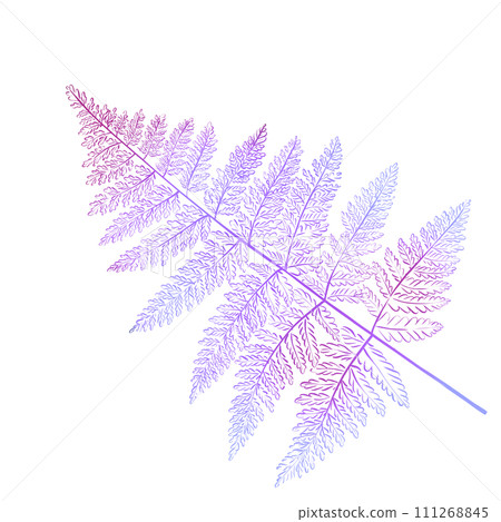 Watercolor purple fern twig. Forest botany. Ideal for design, decorating 111268845