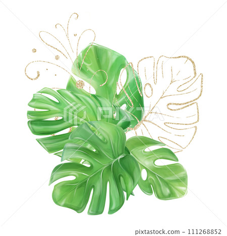 Watercolor bouquet of tropical monstera leaves with golden leaves and a pattern to create a design 111268852
