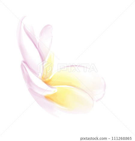 Hand drawn watercolor. Plumeria flower. frangipani flower. Illustration isolated on white background Hand drawn watercolor. Plumeria flower. frangipani flower. Illustration isolated on white background 111268865