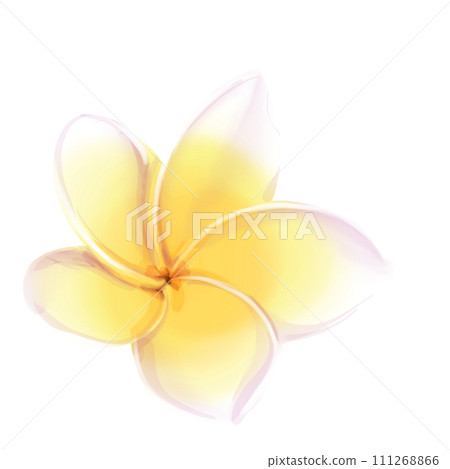 Watercolor tropical illustrations of frangipani flower. Yellow plumeria. Isolated on a white background 111268866