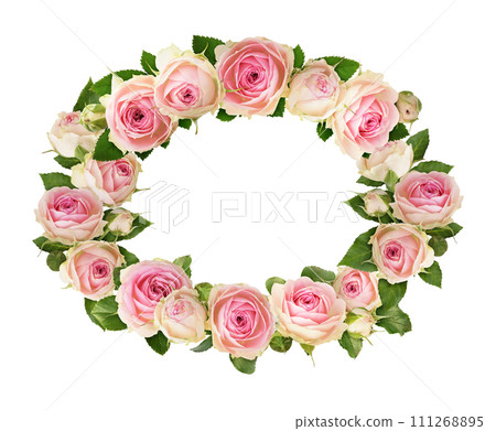 Floral oval frame with pink rose flowers isolated on white 111268895