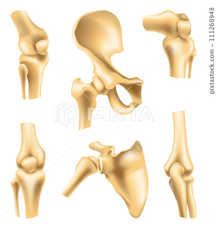 Human joints vector icons for orthopedics and surgery medical design. Vector isolated icons of leg knee or arm and hand joints with cartilage synovial fluid for orthopedics treatment medicine Human joints vector icons for orthopedics and surgery medical design. Vector isolated icons of leg knee or arm and hand joints with cartilage synovial fluid for orthopedics treatment medicine 111268948