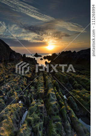 根本海岸屏風岩的夜景 111268994