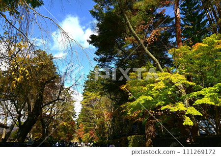 The autumn Kakunoda samurai house The autumn Kakunoda samurai house 111269172