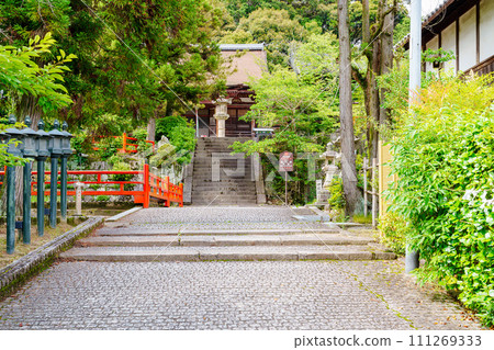 [Nara Prefecture] Chokyuji Temple, Ikoma City (Photo taken on June 22, 2023) 111269333