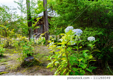 [Nara Prefecture] Chokyuji Temple, Ikoma City (Photo taken on June 22, 2023) 111269349
