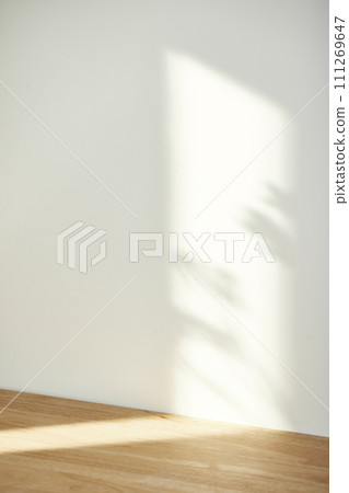 A water cup and shadow on a table in the sunlight. 111269647