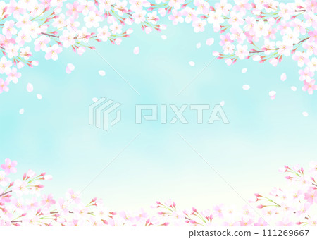 Background illustration of cherry blossoms and blue sky 111269667
