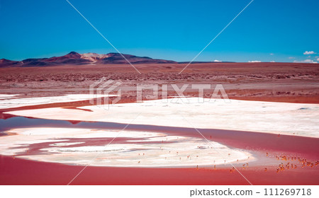 Top view of red Laguna Colorada with flock of flamingos in Bolivia 111269718
