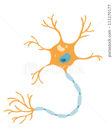Human cell type icon. Medicine and biology illustrative symbol. Health, anatomy and science. Biology vector isolated on white background Human cell type icon. Medicine and biology illustrative symbol. Health, anatomy and science. Biology vector isolated on white background 111270177
