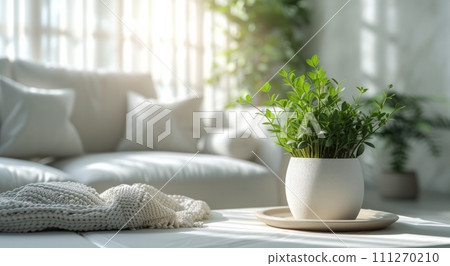 white plant on a table in front of sofa and white floor couch 111270210