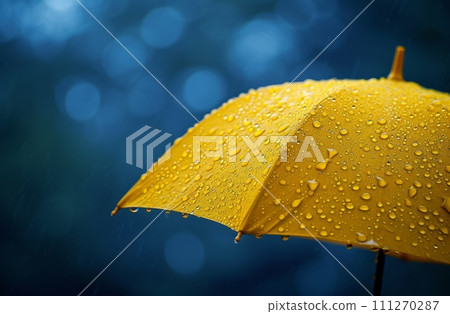 umbrella i need a yellow raincoat 111270287