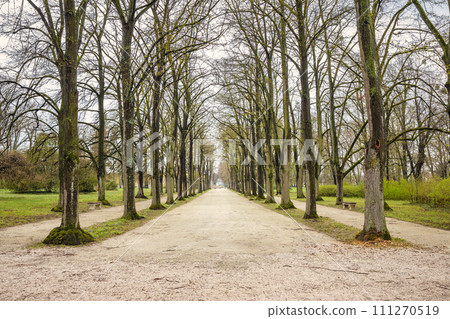 Alley of trees in The Eszterhaza castle park in Fertod, Hungary. Alley of trees in The Eszterhaza castle park in Fertod, Hungary. 111270519
