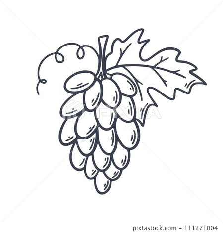 Grape branch with sheet hand engraved 111271004