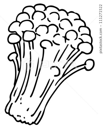 金針線描 111271522