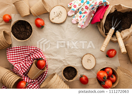Planting tomato seeds for seedlings 111272063