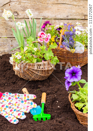 Spring garden decoration with flowers Spring garden decoration with flowers 111272067