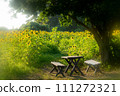 Soothed by the sunflower field 111272321