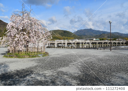 Kyoto in spring in Japan, the streets around Arashiyama, tourist attractions Togetsukyo Bridge and Katsura River, beautiful cherry blossoms and fresh greenery Kyoto in spring in Japan, the streets around Arashiyama, tourist attractions Togetsukyo Bridge and Katsura River, beautiful cherry blossoms and fresh greenery 111272408